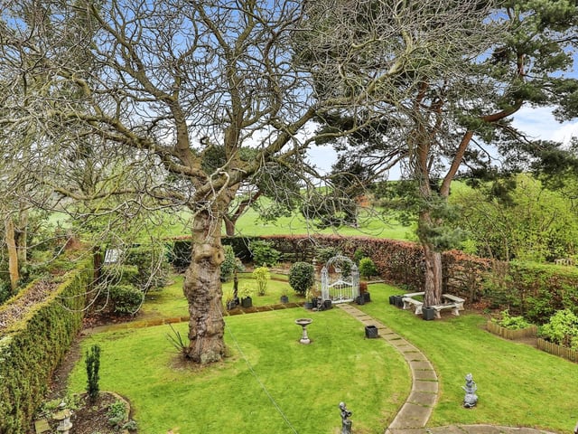 A stunning enclosed garden, with mature trees, shrubs and plants.