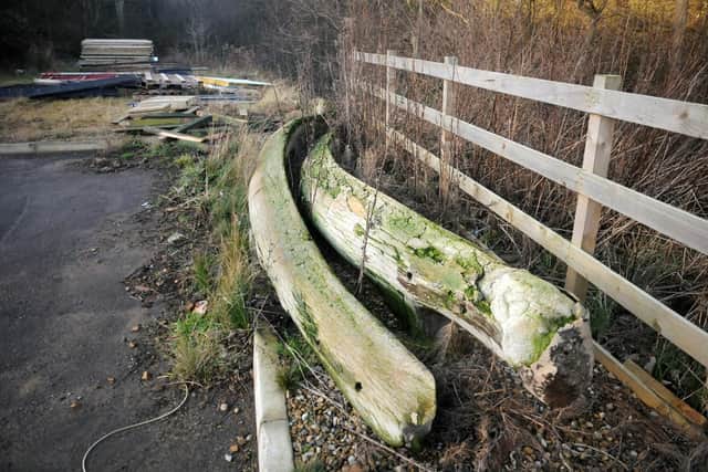 The old bones of a 113-ton Fin Whale which were once used for the Whitby arch but were found by a roadside in 2013.