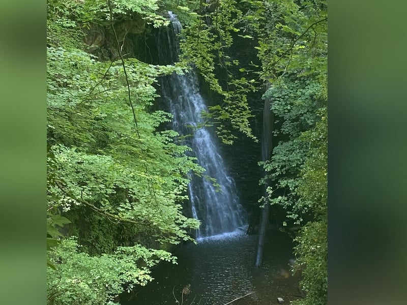 Falling Foss, by Barbara Bussey.