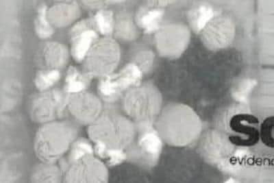 Some of the drugs found.