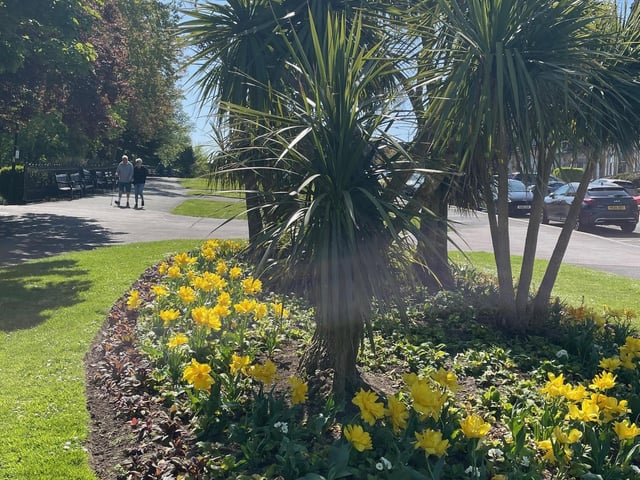A sunny picture of the Esplanade on South Cliff, by Dawn Humphrey.