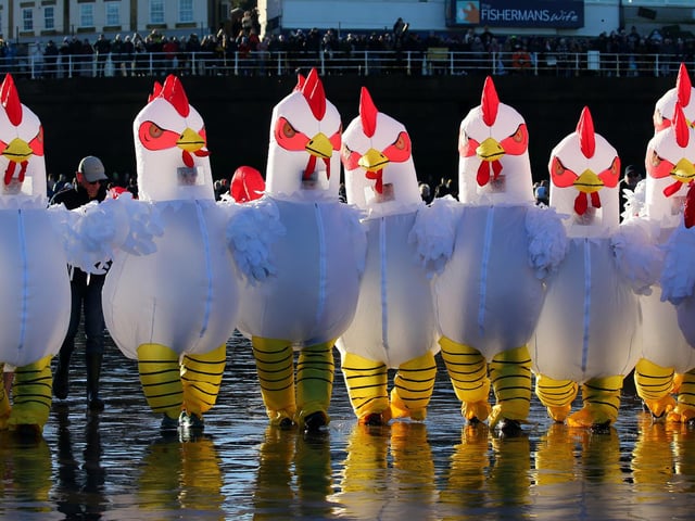 These dippers certainly didn't chicken out of taking the plunge!