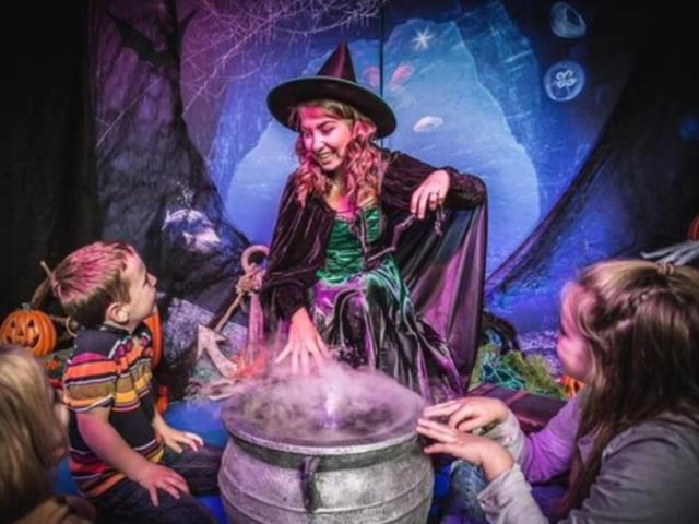 Scarborough Sea Life Ascarium is on from October 19 until November 3. There will be cool photo opportunities, fun activity trail and challenges throughout the aquarium, games and activities, and a fun reward for completing them.