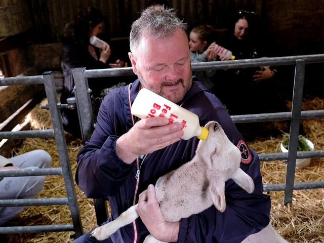This little lamb looks like it's enjoying the bottle.