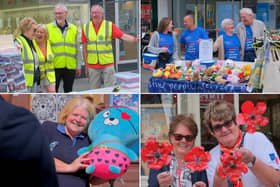 Rotary Club of Scarborough Cavaliers Community Fair