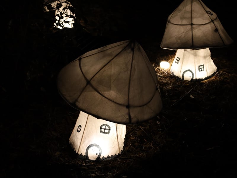 Mushroom houses fit for a fairy family!