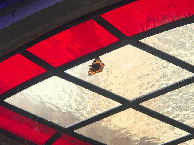 Butterfly on a stained glass window at St Ninian's, by Carol Cull.