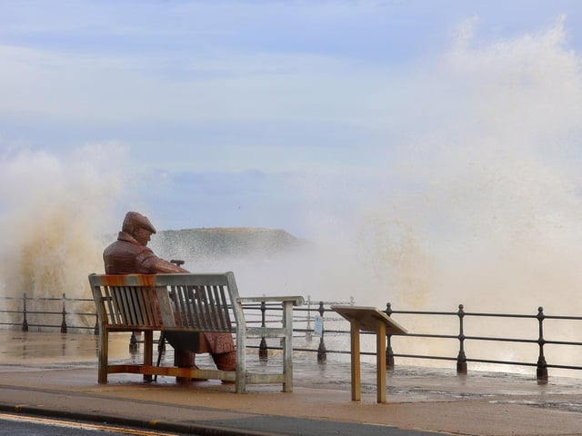 Watching the choppy waves with 'Freddie'