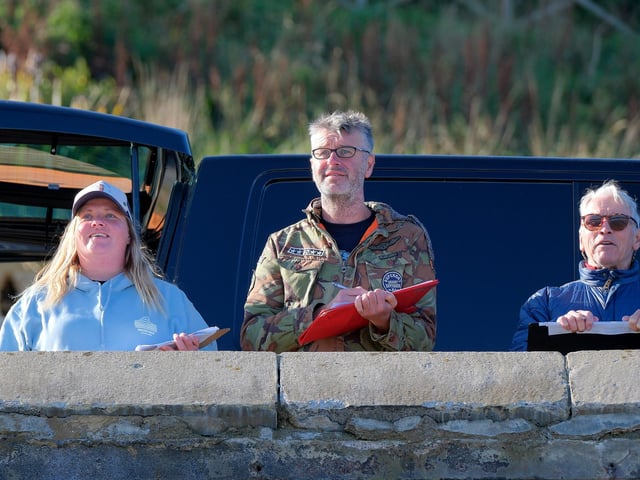 The judges look on