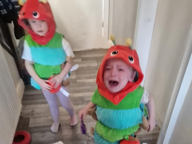 Hungry caterpillars, by Fay Ireland.
