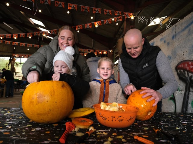 Fun for all the family at Humble Bee Farm
