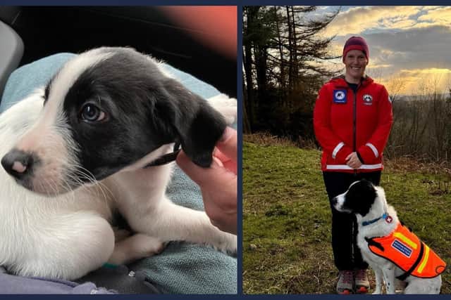 Slate joined the SRMRT as a trainee search dog a few years ago, and since then he has gone from strength to strength on his journey to become a fully-fledged member of the team.