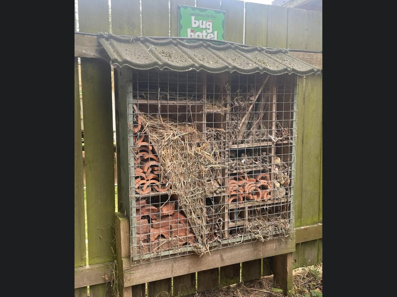 The park even keeps a bug hotel for local wildlife to find a home.