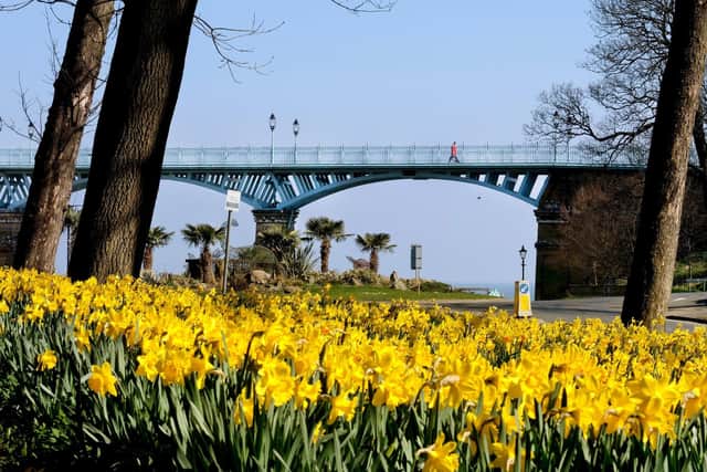 Spring looks set to return this week.