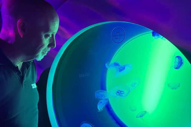 Brian Scarborough Sea Life's Jellyfish supervisor