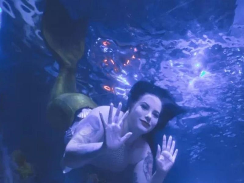 Sea Life Scarborough is hosting After Hours With The Mermaids on July 28 and July 29. Visitors have a chance  get up close with mermaids as they dive in to greet magical sea creatures.