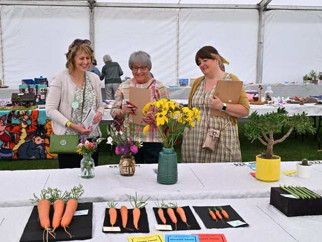 Viewing the impressive vegetables