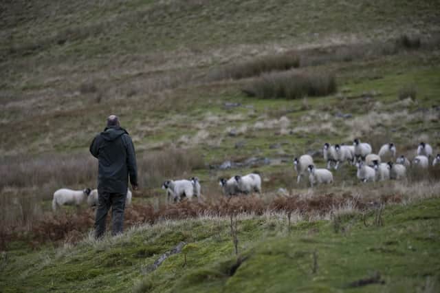 Farmers and land managers are being encouraged to share their views on how nature can be encouraged alongside their business.
