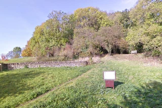Chafer Wood - Image: Google Maps