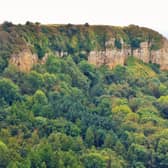 Cliffs below the gliding club.