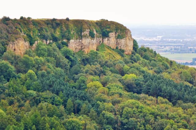 Cliffs below the gliding club.
