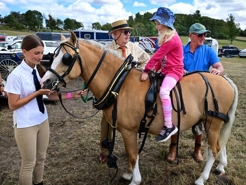 Meeting the show horses. photo: Richard Ponter