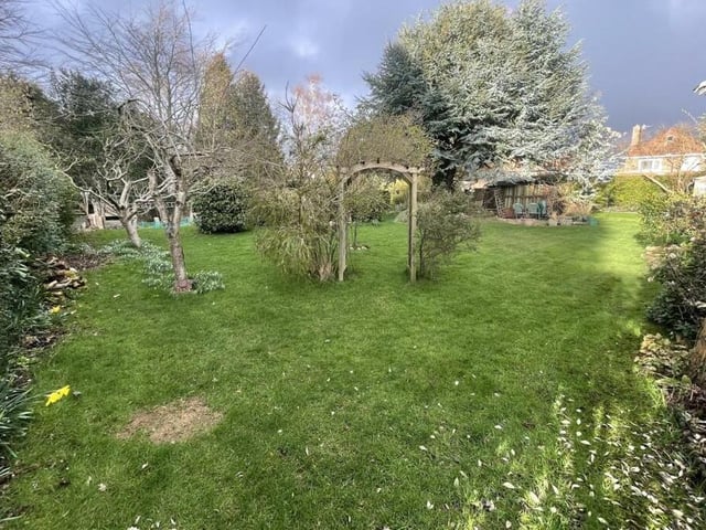 An established lawned garden with mature trees, shrubs and plants.