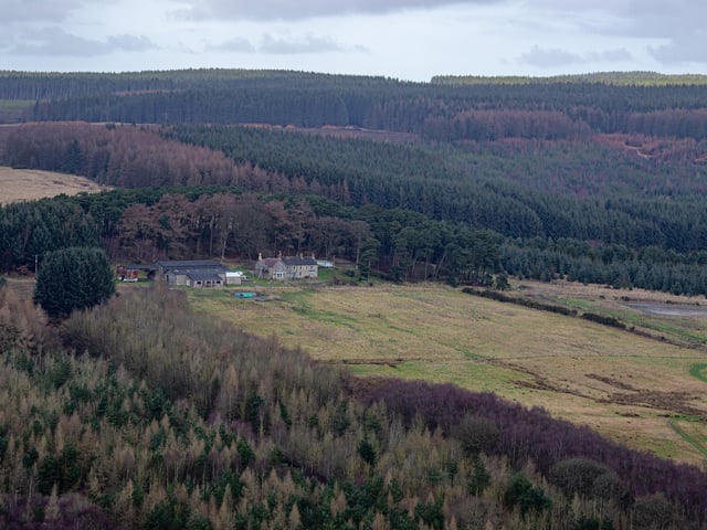 The middle of Dalby Forest is officially the darkest place in the North York Moors National Park and there are a couple of dedicated observatories here plus a special planetarium where you can enjoy the night sky at its best.
