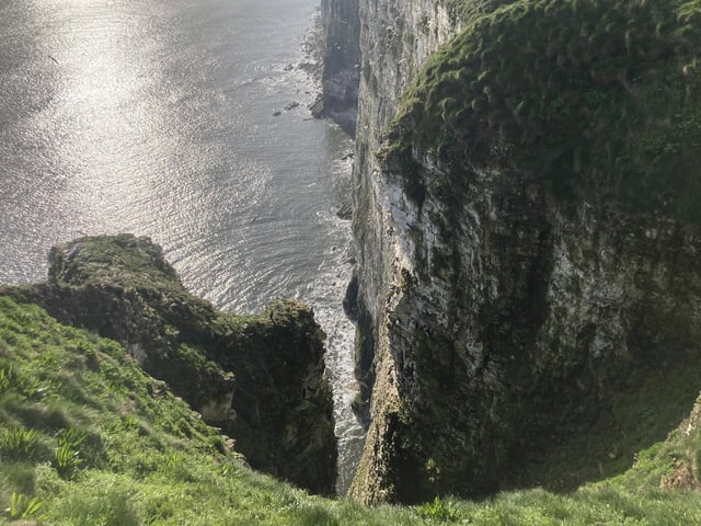 Every year from May to September, the reserve run a number of seabird cruises from the nearby Bridlington Harbour.