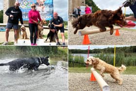 Check out the fantastic photos below!