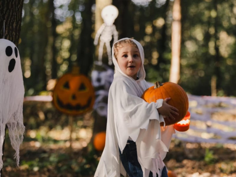 North Yorkshire Water Park have a host of fun activities to do this half term. From laser tag and ziplines, to kayaking and adventure courses, half-term will be bustling with excitement at the park. For added Halloween fun, visitors can book to choose their own pumpkin and carve it at the spookily decorated 'Halloween Hanger'. There will be 2 sessions a day, running from October 25 through till the October 31 at 10am and 2pm. Back by popular demand, there will be a 2.5k lake walk dotted with large and small pumpkins for you to spot and count up along the walk.
