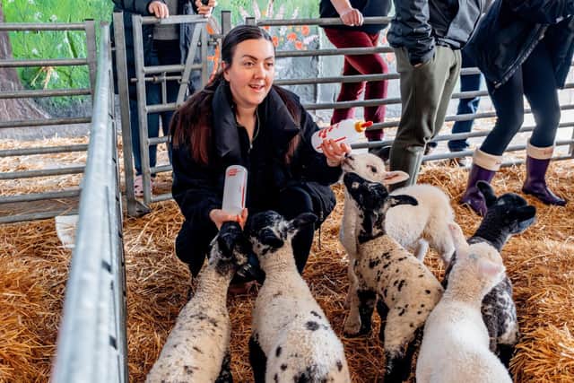 The award-winning location near Flixton, Sarborough is a working farm offering glamping, camping and holiday cottages.