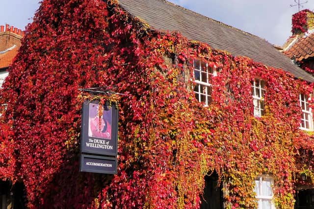 The Duke of Wellington pub in Danby. photo: Stuart Bell