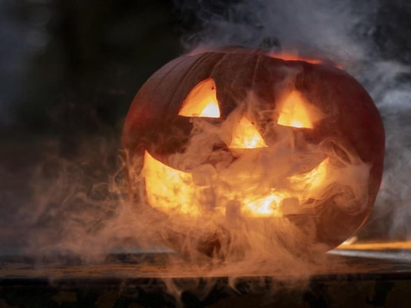 Burton Agnes will be opening their Halloween Trail from October 25 til November 2. Hunt around the peaceful yet eerily atmospheric woodland, finding a frightfully fun series of handcrafted scenes. Alongside the Halloween Trail, romp in the spine-tingling woodland adventure playground with its nine fabulous swings, tower with corkscrew slide and double zip wire and enjoy refreshments in the Stableyard.