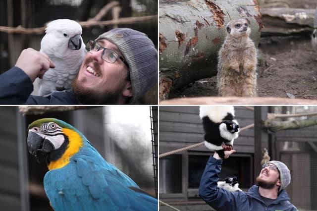 Filey Bird Garden and Animal Park ready for the new season