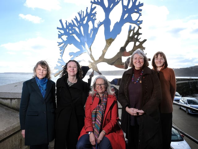 The Wild Eye team