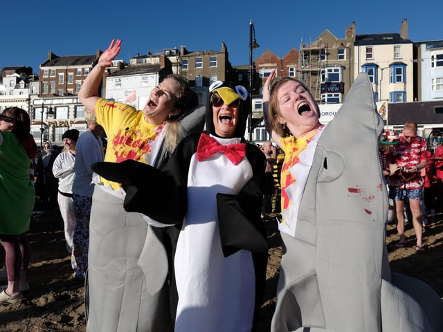 Look out penguin!