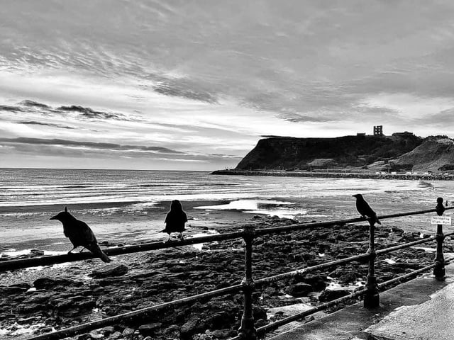 A gothy Scarborough!