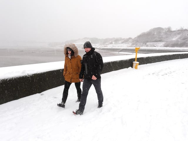 Enjoying a walk in the snow. photo: Richard Ponter