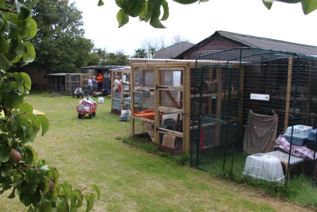 Filey Cat Rescue Centre.