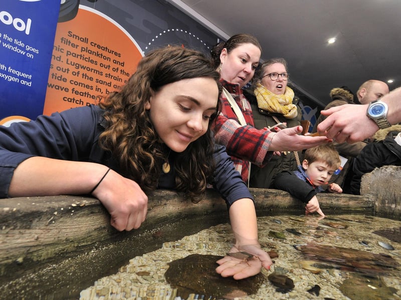 Have an underwater adventure at SEA LIFE Scarborough and meet sharks, rays and spider crabs.