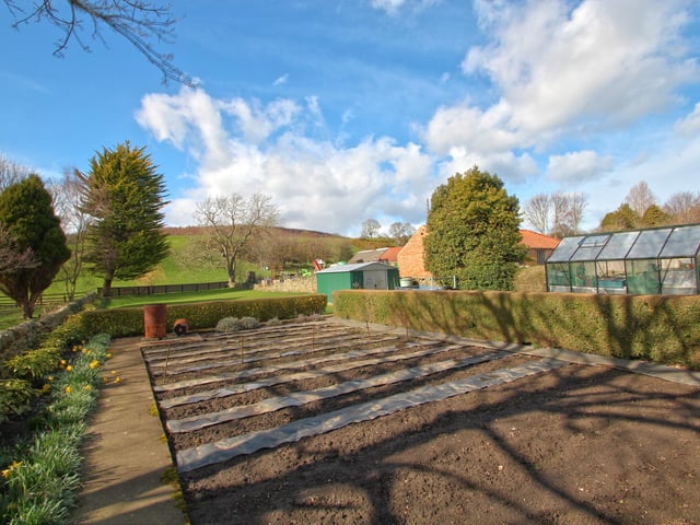 The vegetable garden, with open countryside to the rear of the plot.