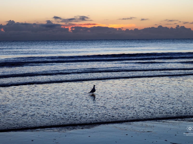 Calm seas at sunrise.