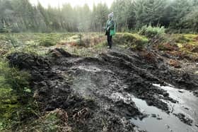 Damage caused by 4x4s in Wykeham Forest.
