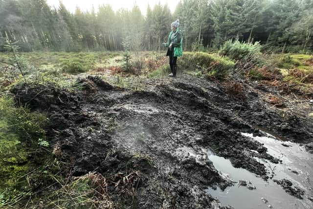 Damage caused by 4x4s in Wykeham Forest.