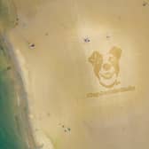 Sand art on Scarborough beach by highlighted the RSPCA's message about the importance of keeping pets cool in summer.