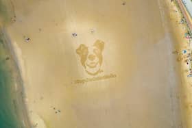 Sand art on Scarborough beach by highlighted the RSPCA's message about the importance of keeping pets cool in summer.