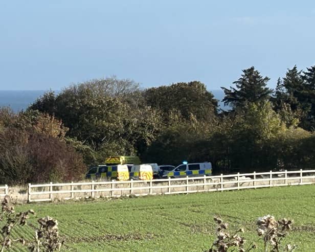 Emergency services attended the scene at Cornelian Bay this morning (Wednesday, October 14). Photo credit: Victoria Richards.