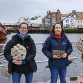 Matt Machouki, project lead for Groundwork North East with Ana Cowie , Marina Pollution Officer for Yorkshire Wildlife Trust (left) and Allison Pierre, Environment Agency Project Officer. picture: Tony Bartholomew