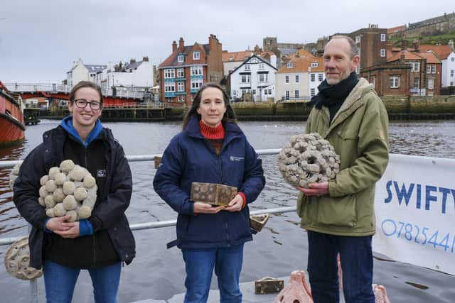 Matt Machouki, project lead for Groundwork North East with Ana Cowie , Marina Pollution Officer for Yorkshire Wildlife Trust (left) and Allison Pierre, Environment Agency Project Officer. picture: Tony Bartholomew